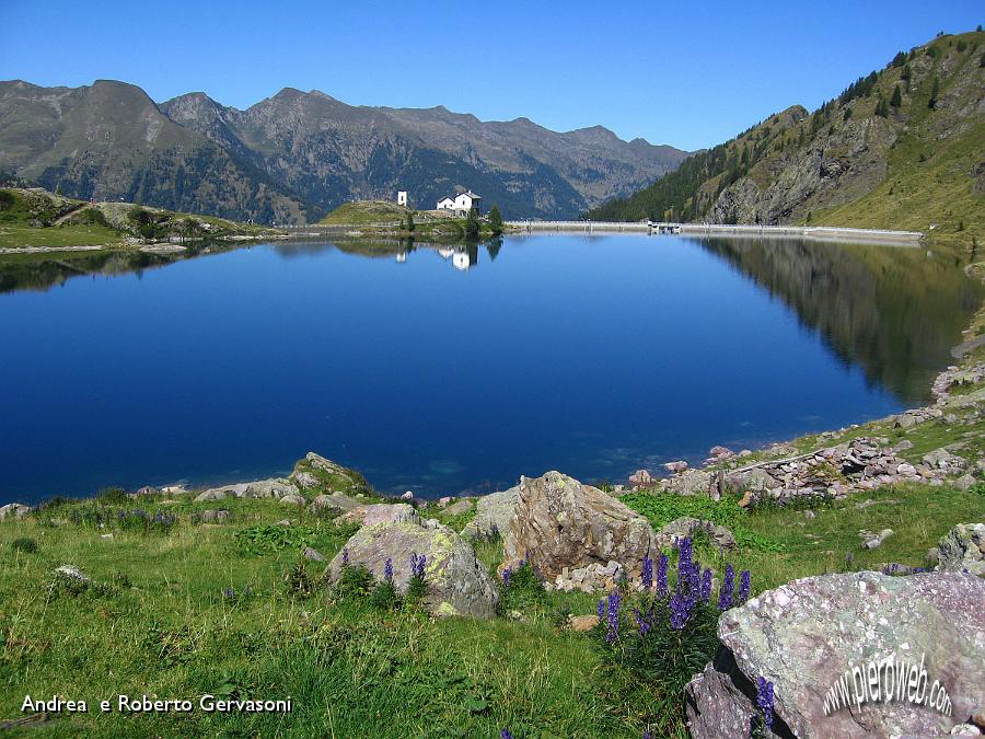 02 rifessi sul Lago Pescegallo.JPG